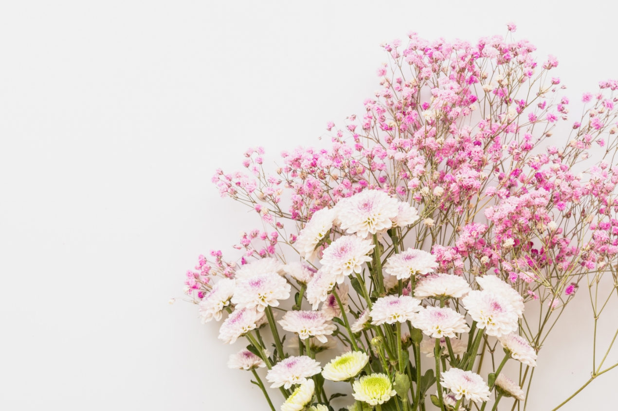 女性のライフステージに合わせた最適な診療を